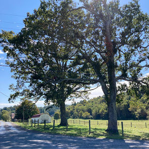 Meet your Posher, Judy